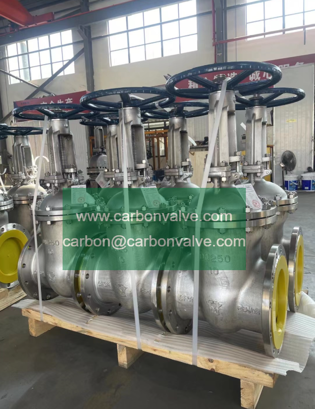 A351 CF3M gate valve A351 CF3M gate valve