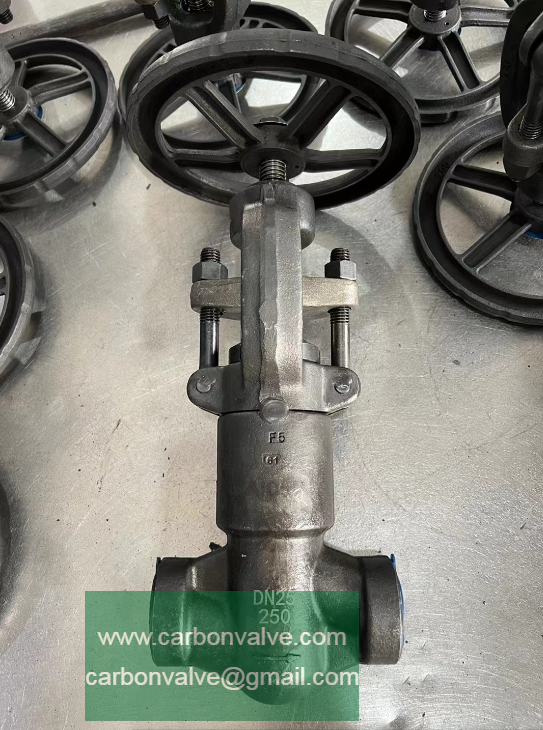 F5 socket welded pressure sealed globe valves