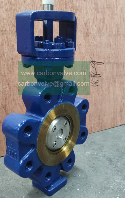 Fully lugged butterfly valve