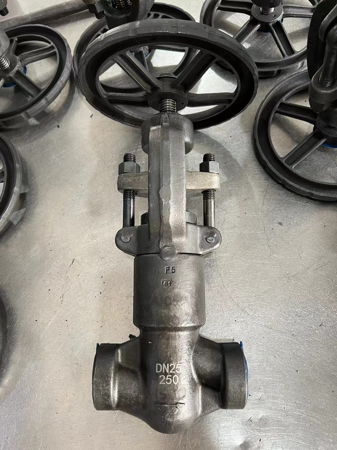 PN250 A105N globe valves