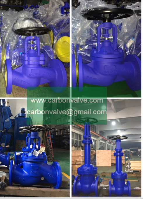 bellow sealed globe valves