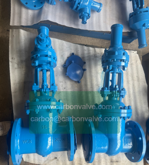 rubber lined gate valves