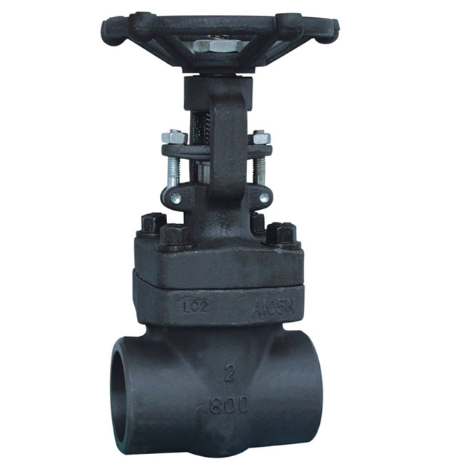 class 800 forged steel gate valves