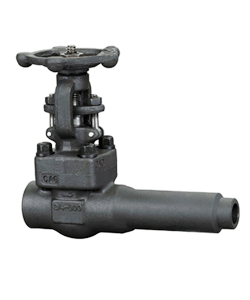 class 800 extended body forged gate valve