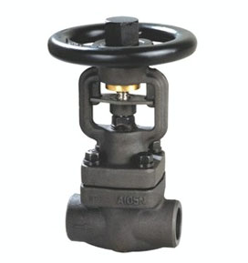 class 800 bellow sealed forged globe valve