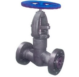 class 900~2500 pressure seal forged globe valve