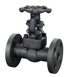 class 150~600 flanged end forged gate valve