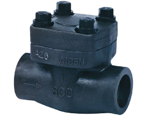 class 800,900~1500 forged swing check valve