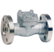 class 900~1500 flanged end forged check valve