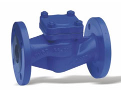 DIN Carbon Steel Check Valve