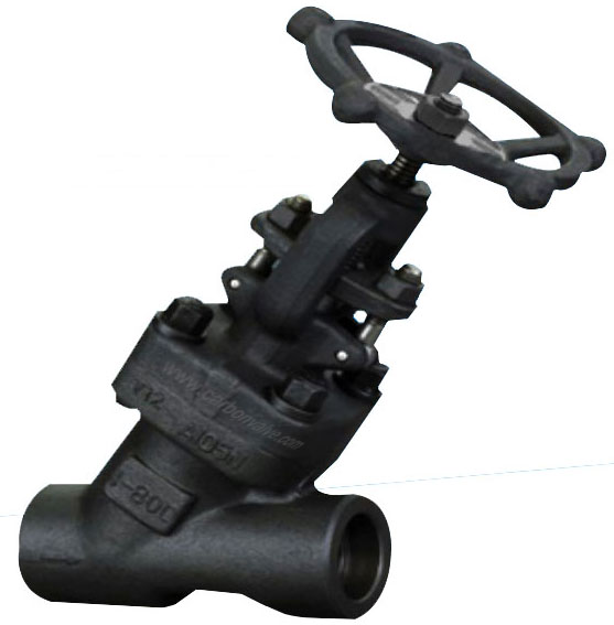 class 800 Y-pattern forged globe valve